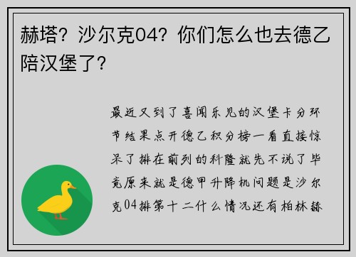 赫塔？沙尔克04？你们怎么也去德乙陪汉堡了？