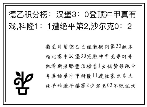 德乙积分榜：汉堡3：0登顶冲甲真有戏,科隆1：1遭绝平第2,沙尔克0：2